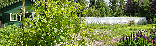 _tuin en kas