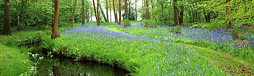 landschap 1